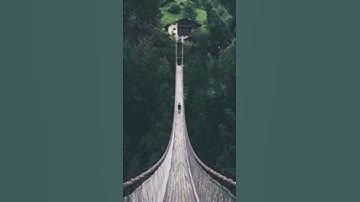 {وتوكّل على العزيز الرّحيم الّذي يراك حين تقوم} || تلاوة قصيرة خاشعة بصوت القارئ رعد الكردي