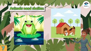 SCIENCE1L15: Needs of Animals