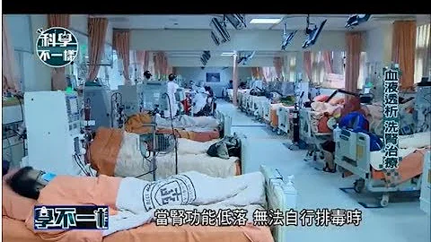 《TVBS 科学不一样》肾脏病 血液透析 - 天天要闻