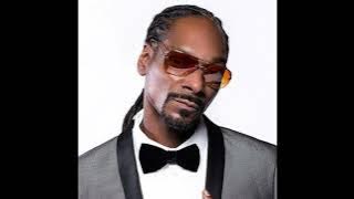 [free] snoop dogg type beat x 90s rap x gfunk type beat - still a g thang