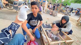 Palti Maar Kabootar Mil Gaya  Buying New Pigeon  Arman Birds  Vlog