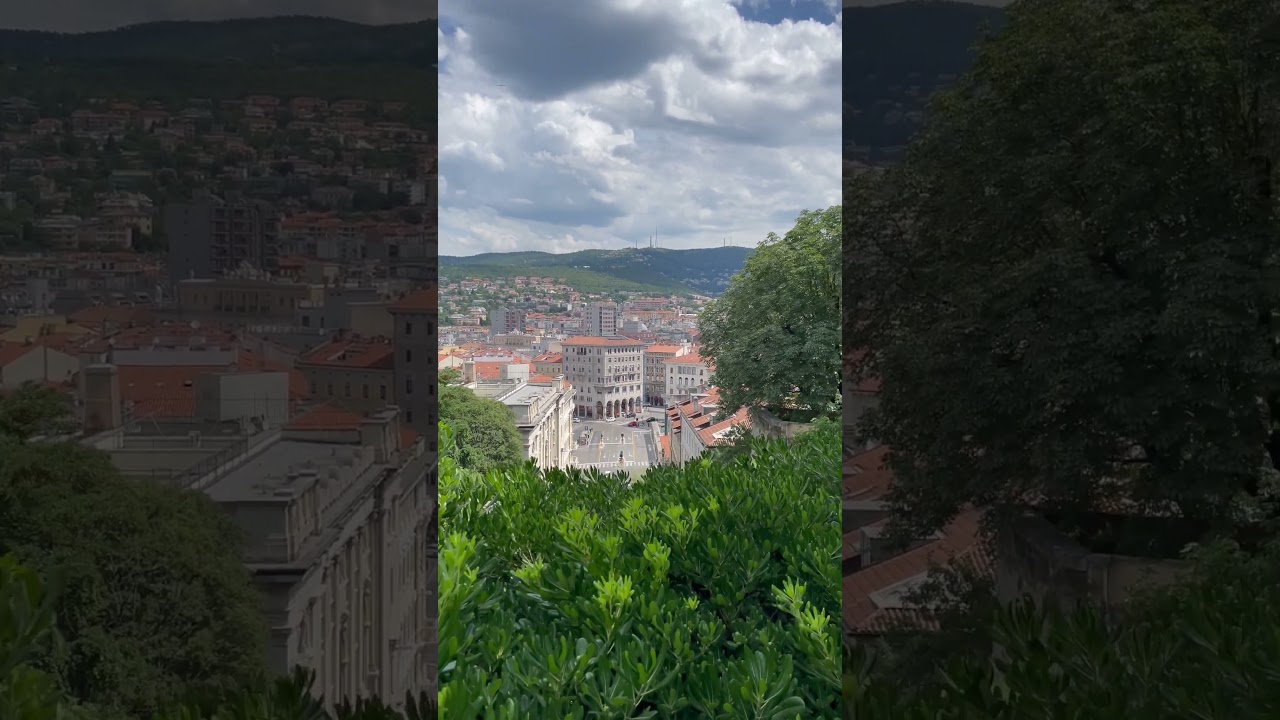 Trieste view 