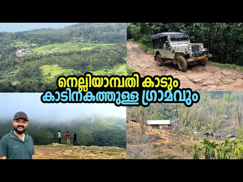 ഫോർവീൽ ജീപ്പിലൂടെ മാത്രമേ ഇവിടെ എത്താൻ സാധിക്കുകയുള്ളൂ.The Story Of Nelliampathi | Inside The Forest