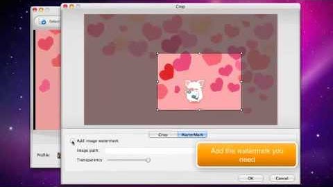 Step by Step to Converting SWF to MPG and MPEG on Mac