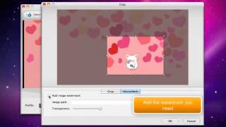 Step by Step to Converting SWF to MPG and MPEG on Mac