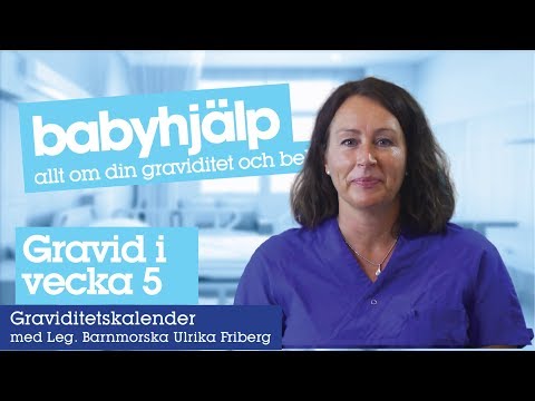 Video: Graviditetsvecka 10 - Förändringar I Fostret, Buken, Smärtor, Undersökningar