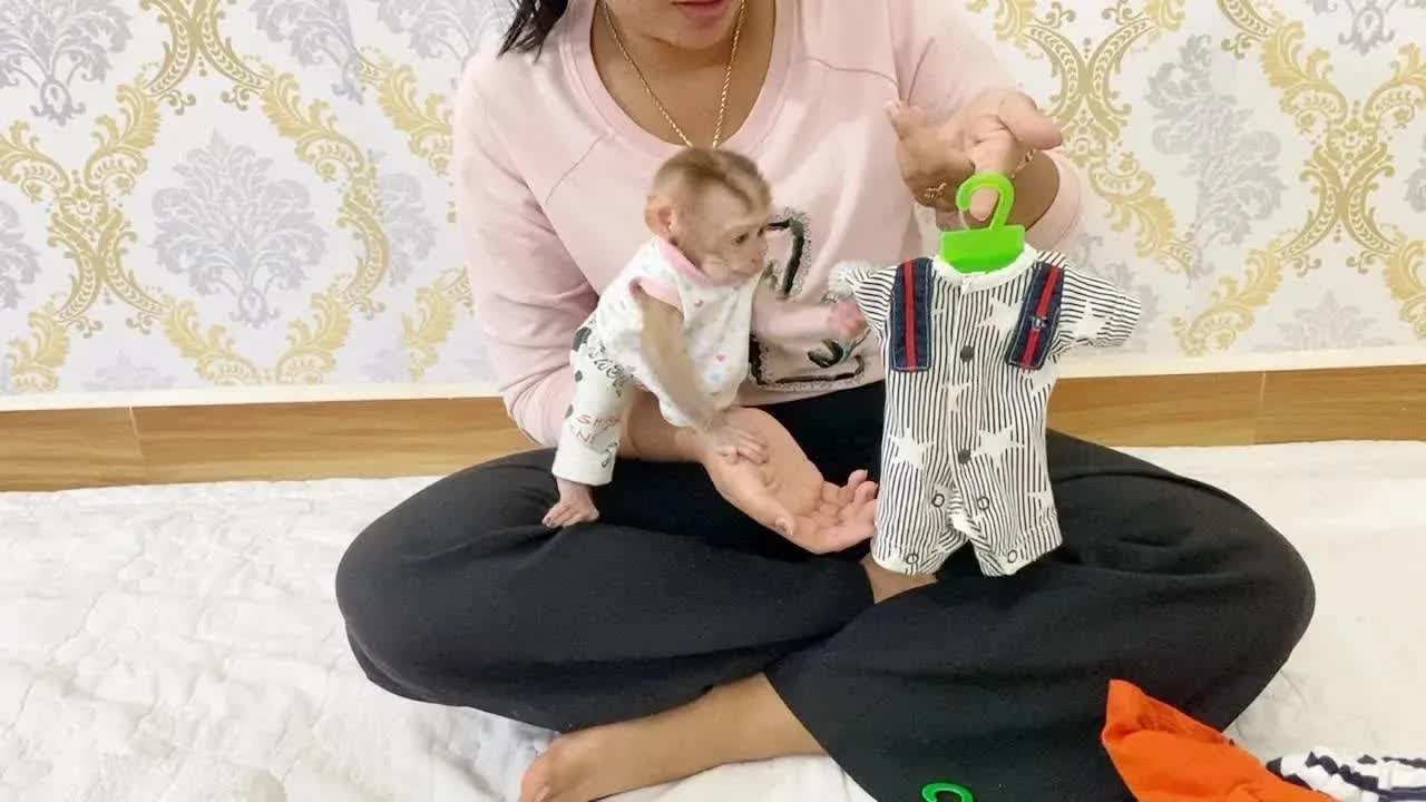 Cutie BB DAM Help Mom Preparing His Cute Outfit To Hang