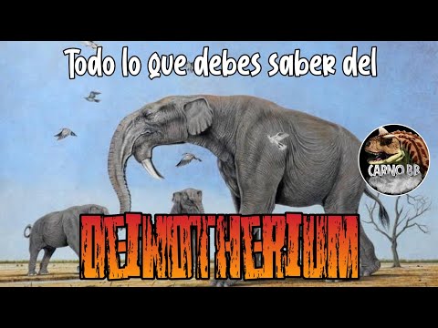 Video: Quando è vissuto il deinotherium?