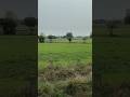 shatabdi express |speed #heaetbroken #shorts #viral #shots #train #love #nature #dhokha #viralvideo