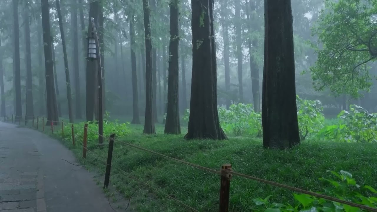 Релаксирующий дождь в красивом парке - Сон, медитация, учеба, работа, ASMR 🌧️🌿