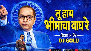 TU HAY BHIMACHA WAGH RE (REMIX) DJ GOLU