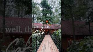 📍Citrus Trail Farm & Kitchen #cafe #bangalore #weekendgetaway