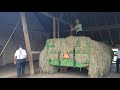 Unloading hay into the mow using horses and a hay hook.