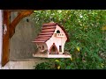 Turn solid wood into most adorable bird feeder