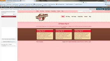PSD to Dynamik for Genesis WordPress theme, Video 4
