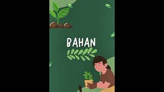 Sediaan Lipbalm Ekstrak Daun Mangrove Matkul Bahan Alam Bahari Ff Universitas Ypib Majalengka