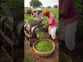 Look at village technology. #usa #trending #shorts