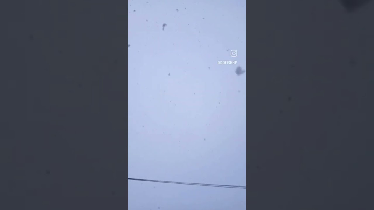 Trout Fish Farm Patlikuhal District kullu covered under fresh blanket of snow.