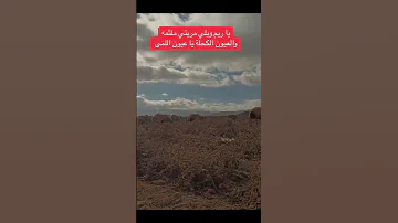 الفنان معتصم العمر ياريم يلي مريتي ملثمة والعيون الكحلة ياعيون اللمى 