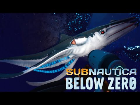 SQUIDSHARK TIBUR N CALAMAR Subnautica BELOW ZERO En Espa ol TODO Y squidshark-tibur-n-calamar-subnautica-below-zero-en-espa-ol-todo-y