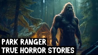 2 Hours Of TRUE Disturbing Park Ranger Horror Stories Told In The Rain (Dogman,Sasquatch,Wendigo...)