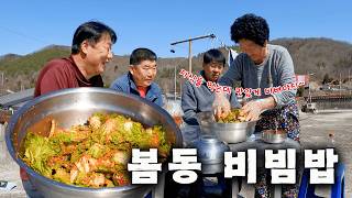[Countryside Food Show] Fragrant Bomdong Bibimbap, Tastier Than Meat, and Savory Cheonggukjang Mu...