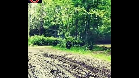 Live firing in border area !! Indian Army Jay Hind🇮🇳