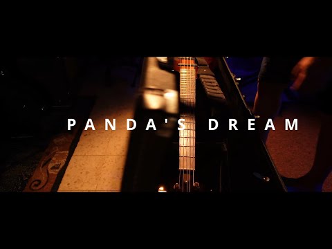 Panda's Dream
