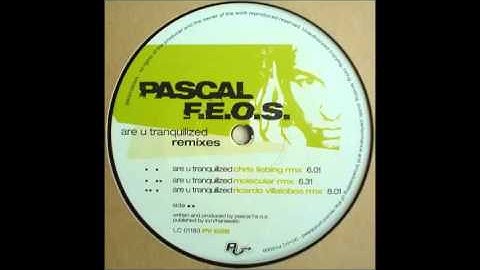 Pascal  F.E.O.S. - Are U Tranquilized (Chris Liebing Remix)