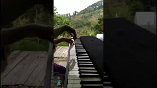 Lagu relaksasi relaxing anak, burung kutilang 🐦 screenshot 5