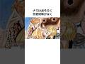 周りから影響を受けやすいナミに関する雑学【ワンピース】#shorts #onepiece #雑学