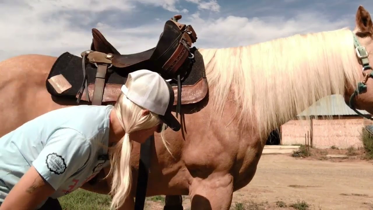 Saddle Up Colorado - Circle Y Saddle Rigging Options & Double Latigos & Full Setup Guide