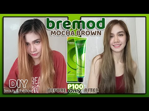 DIY Hair Color At Home | Bremod Mocha Brown | No Bleach | Criscel Diano