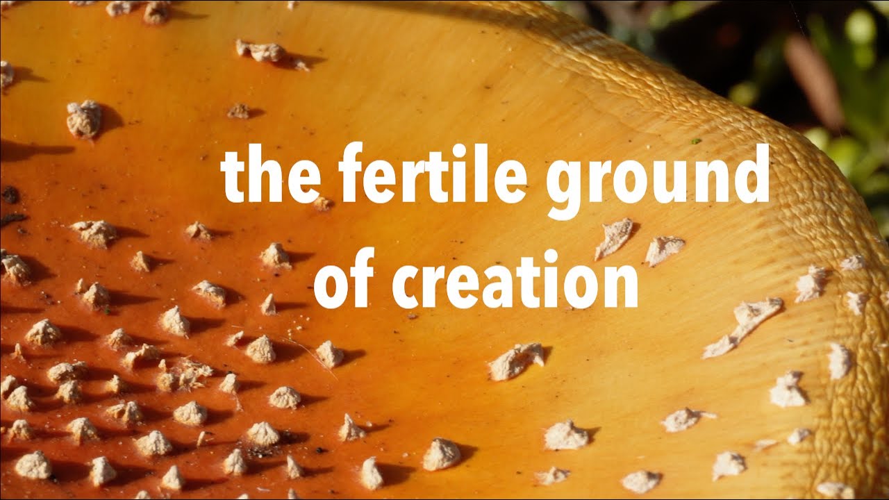 Ground.5 We are all the same consciousness