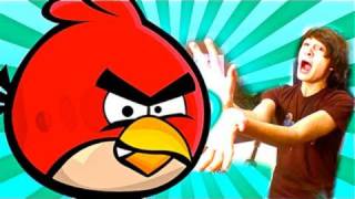 FREAKIN ANGRY BIRDS!! screenshot 4