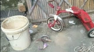 Restoration retro red radio flyer vintage tricycle