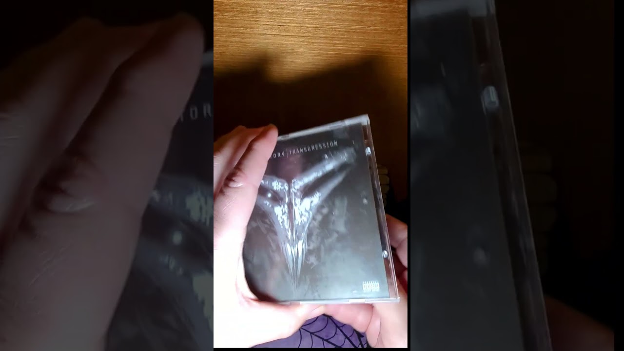 Fear Factory  transgression 