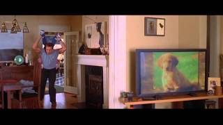 Details Fartzenegger   The Most Ridiculous Schwarzenegger Compilation Ever News