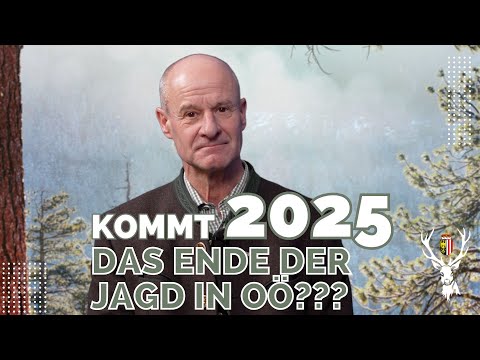 Kommt 2025 das