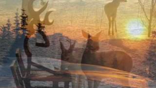Video thumbnail of "COME IN FROM THE COLD  ~  JONI MITCHELL  ~  Lyrics"