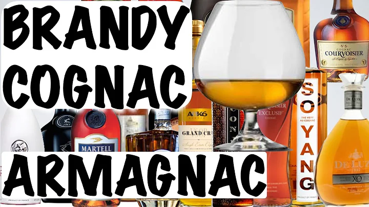 Cognac, Brandy and Armagnac - Alcohol 101
