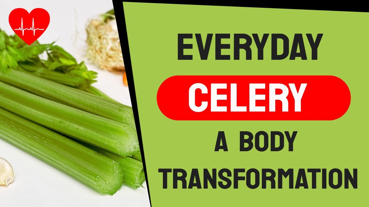 Celery Everyday A Body Transformation YouTube