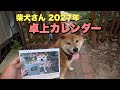 2027年✨柴犬さん卓上カレンダー出来上がりました📅