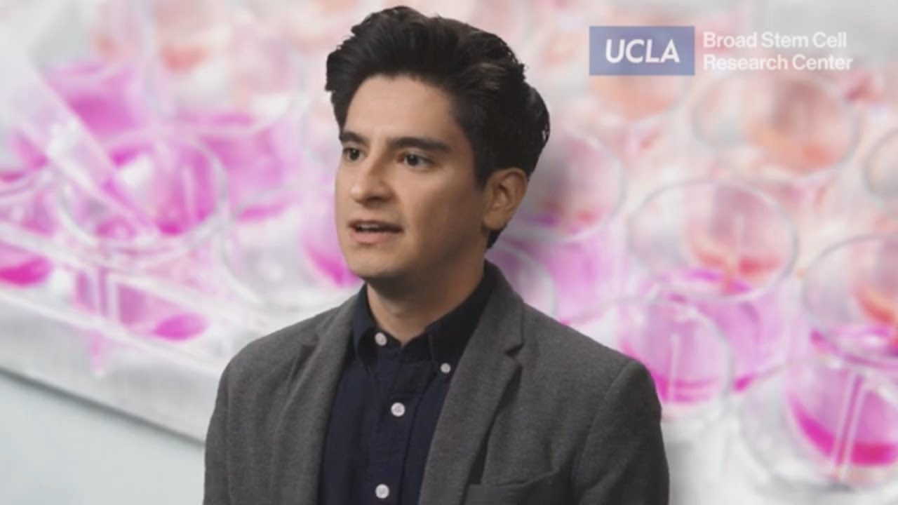 Mapping the metabolism of stem cells to identify nutrients for healing | César Pérez-Ramírez, PhD