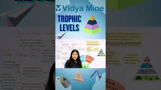 Trophic levels #boardexampreparation #biology #cbse2026