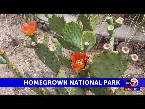 Homegrown National Park with ABC-7s Katie Frazier by KVIA ABC-7