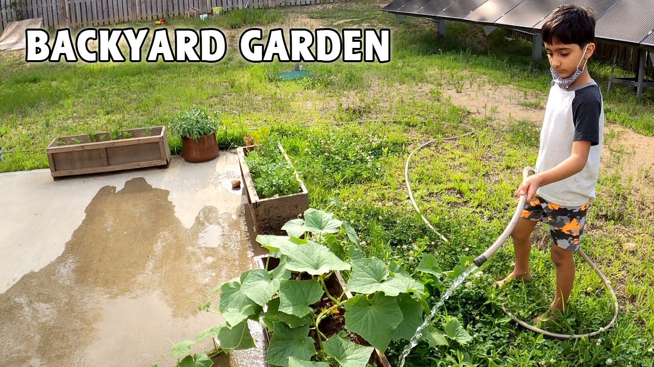 Planting New Seeds in Backyard Garden with Kids Vlog Backyard Garden Ideas Urdu/Hindi YouTube