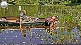 Loon Nest Live Cam 20170620 104455 abandoned egg removal