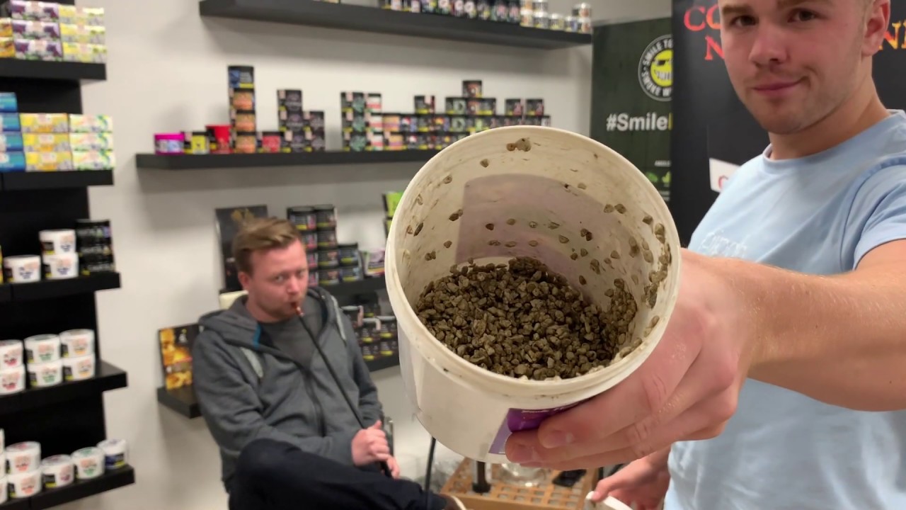 Dampfsteine im Test! Review Cloudz by 7Days - Traube Minze