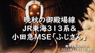 紅葉の御殿場線～特急ふじさん(MSE)＆313系の走行シーン